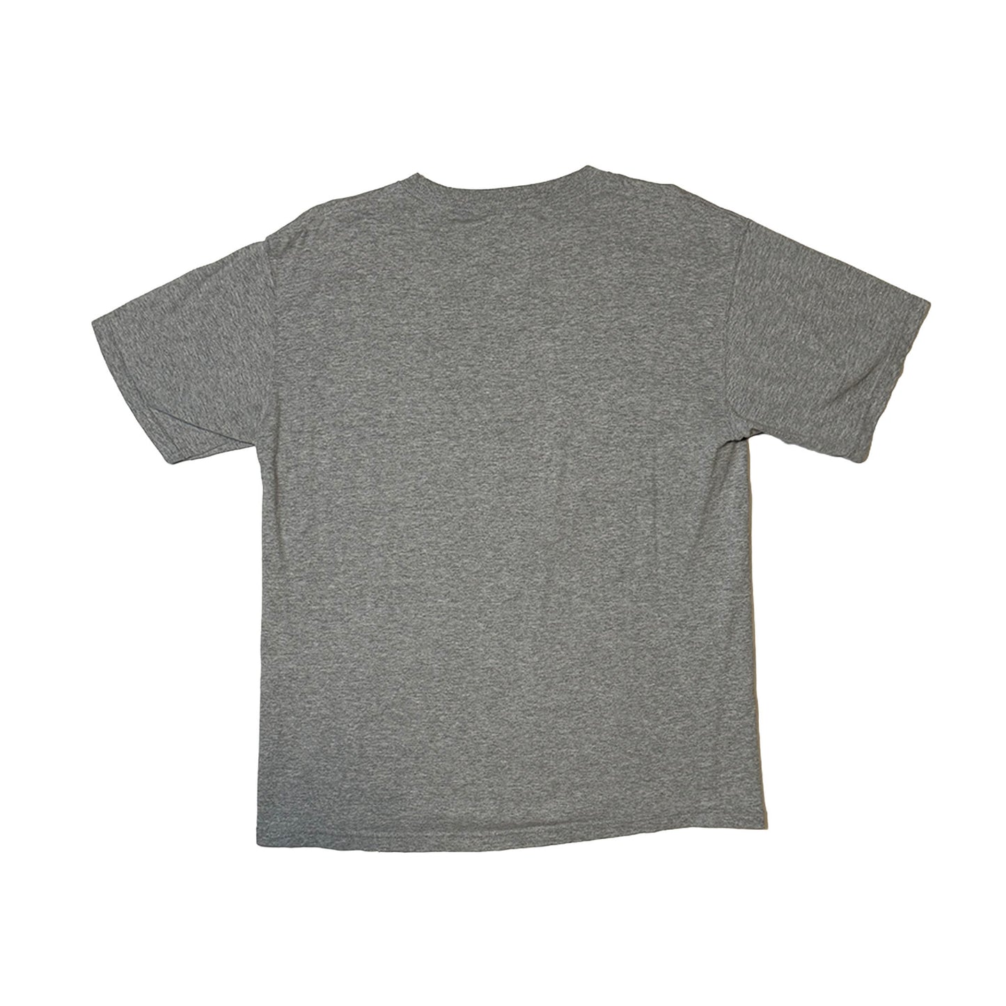 Grey Skull T-Shirt